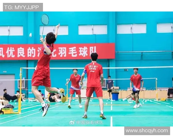赛后分析：上海羽毛球队与武汉羽毛球队的默契配合与战术探讨