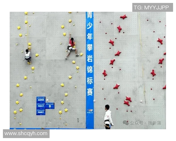 世界攀岩锦标赛积分榜：杭州攀岩队以95分领跑