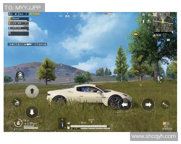 2026和平精英状态排行榜：TES位居第1名